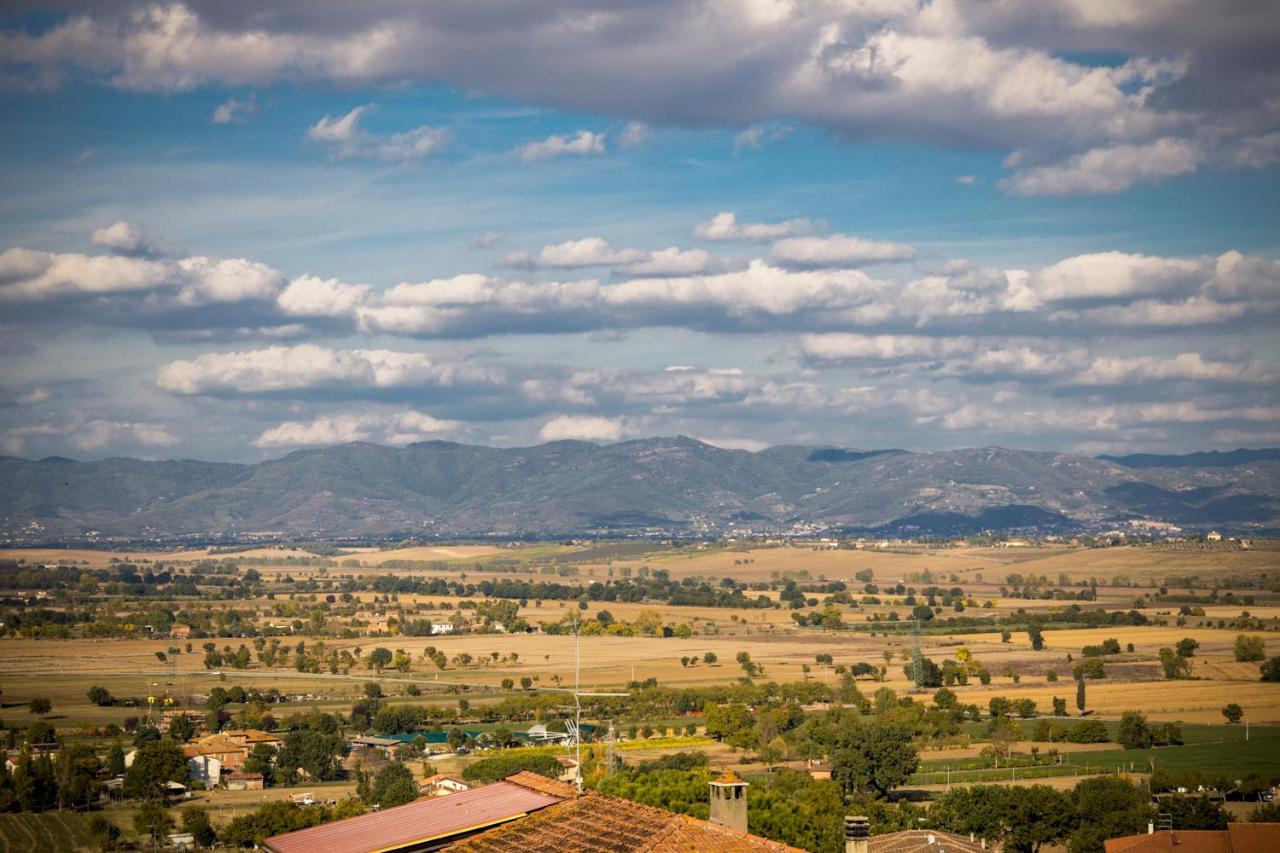 In Collegiata Bed & Breakfast